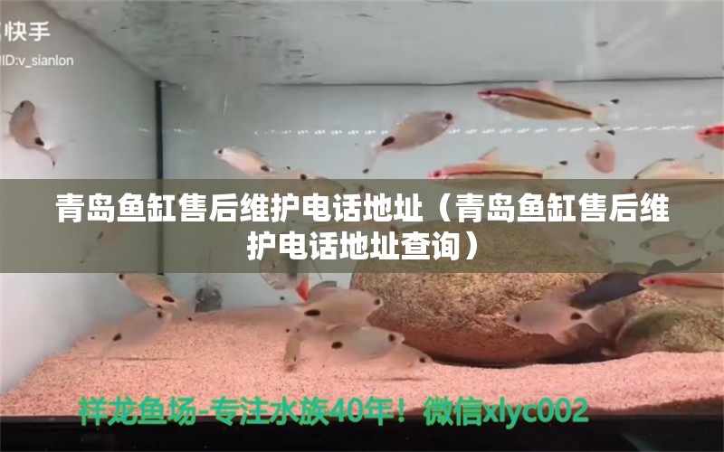 青島魚(yú)缸售后維護(hù)電話地址（青島魚(yú)缸售后維護(hù)電話地址查詢）