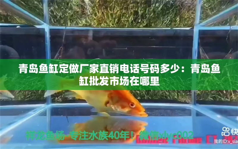 青島魚缸定做廠家直銷電話號碼多少：青島魚缸批發(fā)市場在哪里