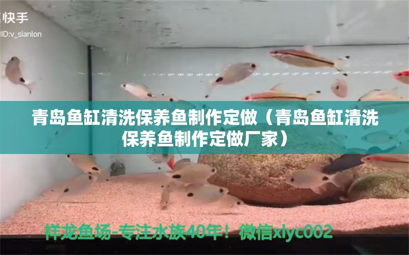 青島魚缸清洗保養(yǎng)魚制作定做（青島魚缸清洗保養(yǎng)魚制作定做廠家）