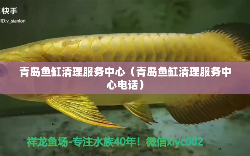 青島魚(yú)缸清理服務(wù)中心（青島魚(yú)缸清理服務(wù)中心電話）