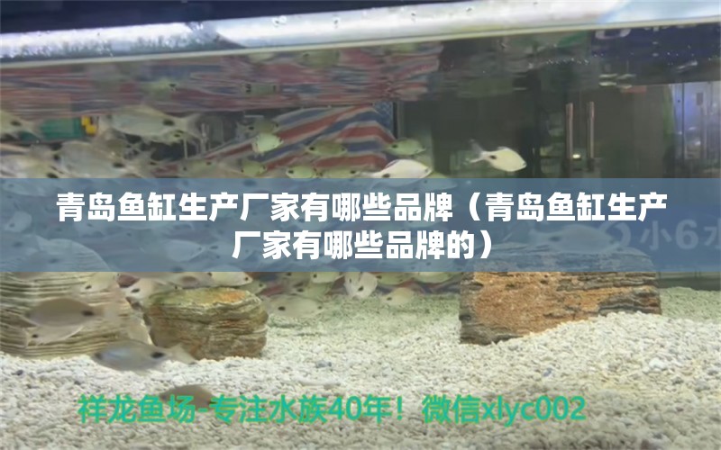 青島魚缸生產(chǎn)廠家有哪些品牌（青島魚缸生產(chǎn)廠家有哪些品牌的） 月光鴨嘴魚