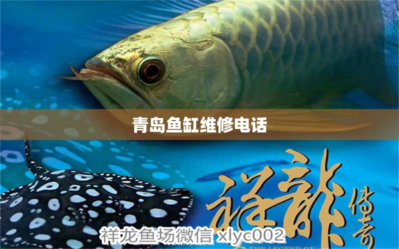 青島魚缸維修電話