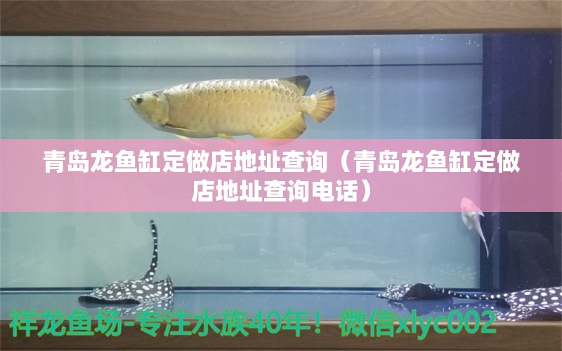 青島龍魚缸定做店地址查詢（青島龍魚缸定做店地址查詢電話） 祥龍水族醫(yī)院