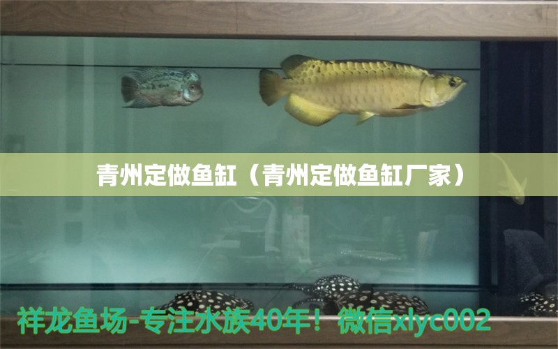 青州定做魚(yú)缸（青州定做魚(yú)缸廠(chǎng)家） 其他品牌魚(yú)缸