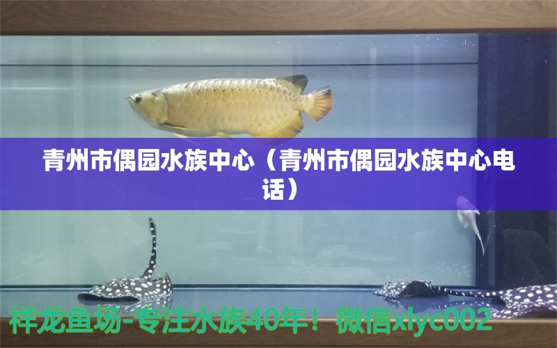 青州市偶園水族中心（青州市偶園水族中心電話）