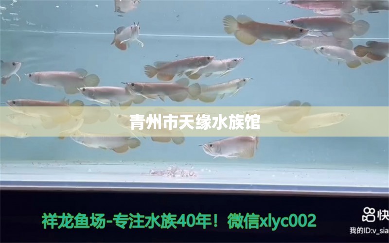 青州市天緣水族館 全國(guó)水族館企業(yè)名錄