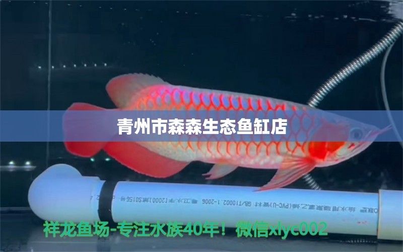 青州市森森生態(tài)魚缸店 全國水族館企業(yè)名錄