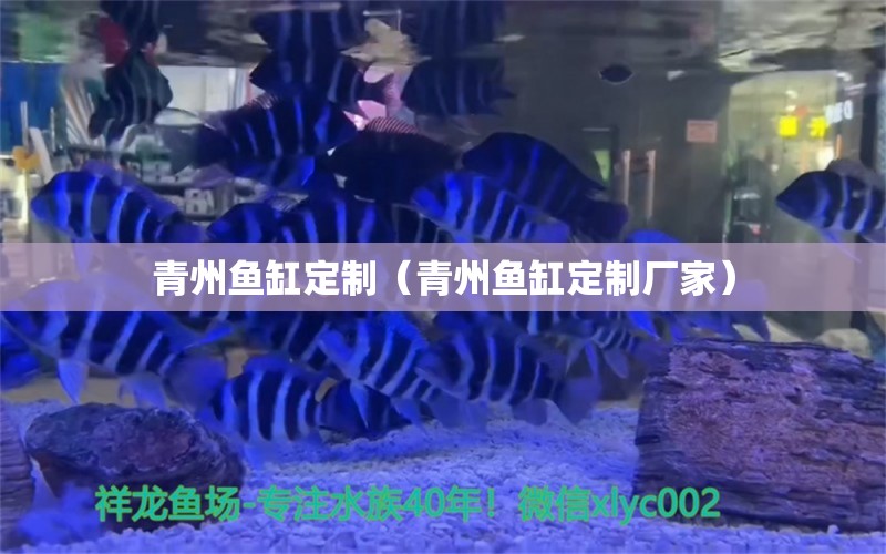 青州魚缸定制（青州魚缸定制廠家） 其他品牌魚缸