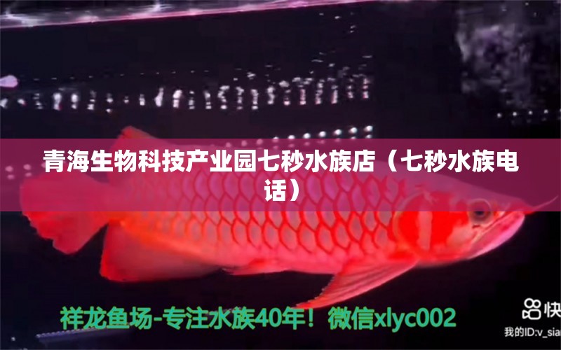 青海生物科技產(chǎn)業(yè)園七秒水族店（七秒水族電話）