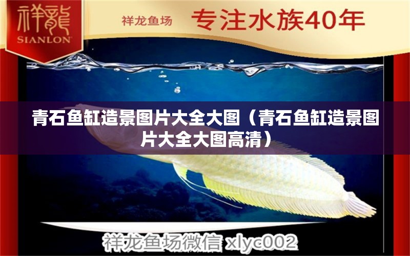 青石魚缸造景圖片大全大圖（青石魚缸造景圖片大全大圖高清） 觀賞魚市場（混養(yǎng)魚）