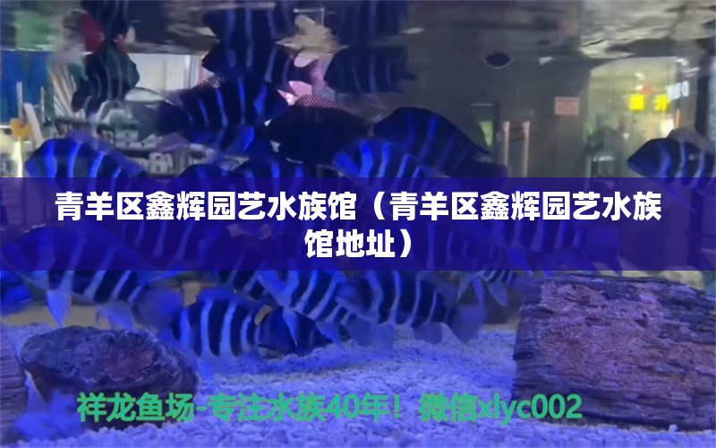 青羊區(qū)鑫輝園藝水族館（青羊區(qū)鑫輝園藝水族館地址） 全國水族館企業(yè)名錄