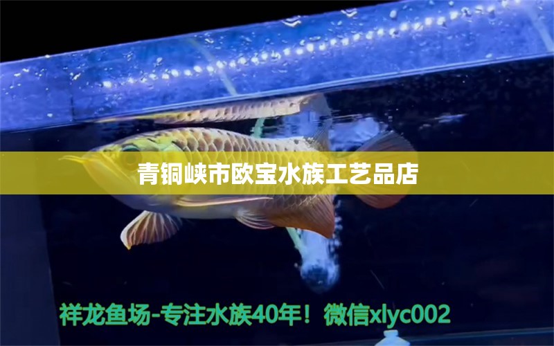 青銅峽市歐寶水族工藝品店