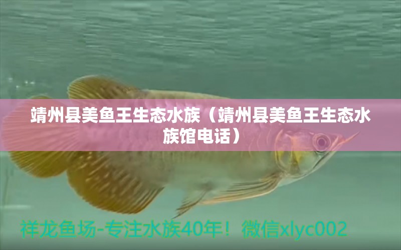 靖州縣美魚王生態(tài)水族（靖州縣美魚王生態(tài)水族館電話）