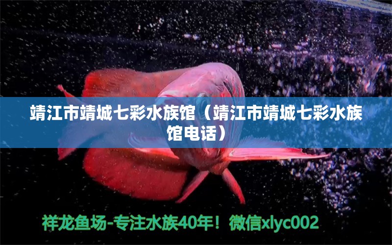 靖江市靖城七彩水族館（靖江市靖城七彩水族館電話）