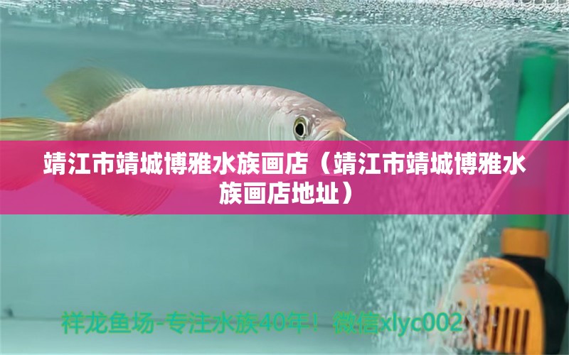 靖江市靖城博雅水族畫店（靖江市靖城博雅水族畫店地址） 全國水族館企業(yè)名錄