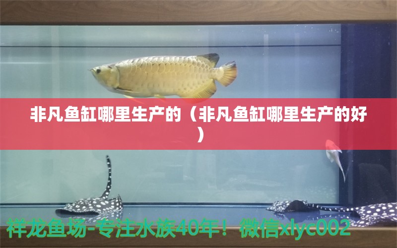 非凡魚缸哪里生產(chǎn)的（非凡魚缸哪里生產(chǎn)的好）