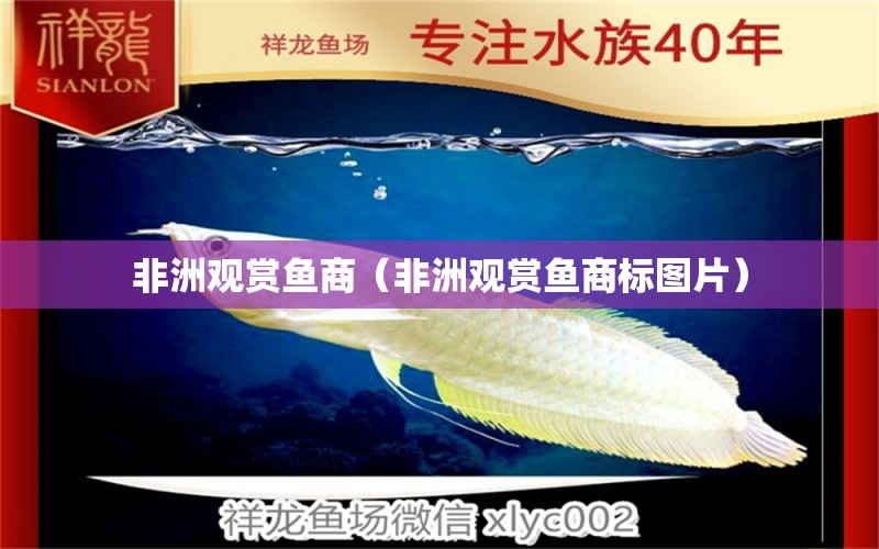 非洲觀賞魚商（非洲觀賞魚商標圖片） 觀賞魚