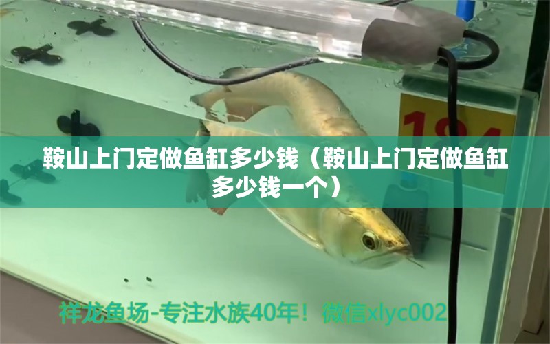 鞍山上門定做魚缸多少錢（鞍山上門定做魚缸多少錢一個）