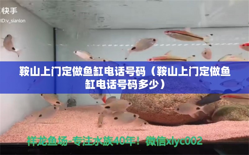 鞍山上門定做魚缸電話號碼（鞍山上門定做魚缸電話號碼多少）