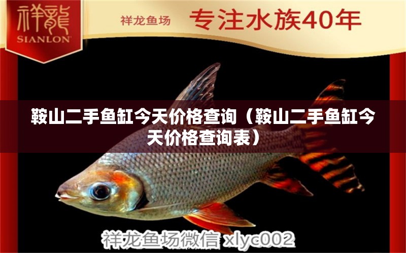 鞍山二手魚(yú)缸今天價(jià)格查詢（鞍山二手魚(yú)缸今天價(jià)格查詢表） 祥龍水族醫(yī)院