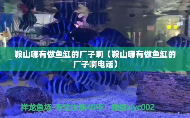 鞍山哪有做魚缸的廠子啊（鞍山哪有做魚缸的廠子啊電話）