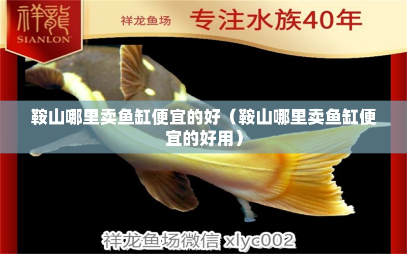 鞍山哪里賣魚缸便宜的好（鞍山哪里賣魚缸便宜的好用） 其他品牌魚缸