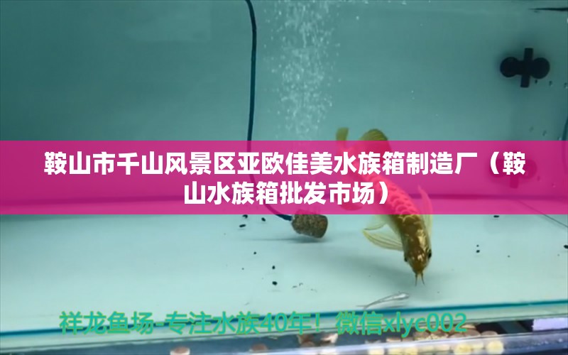 鞍山市千山風(fēng)景區(qū)亞歐佳美水族箱制造廠（鞍山水族箱批發(fā)市場(chǎng)）