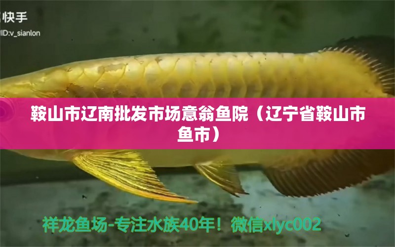 鞍山市遼南批發(fā)市場(chǎng)意翁魚院（遼寧省鞍山市魚市）