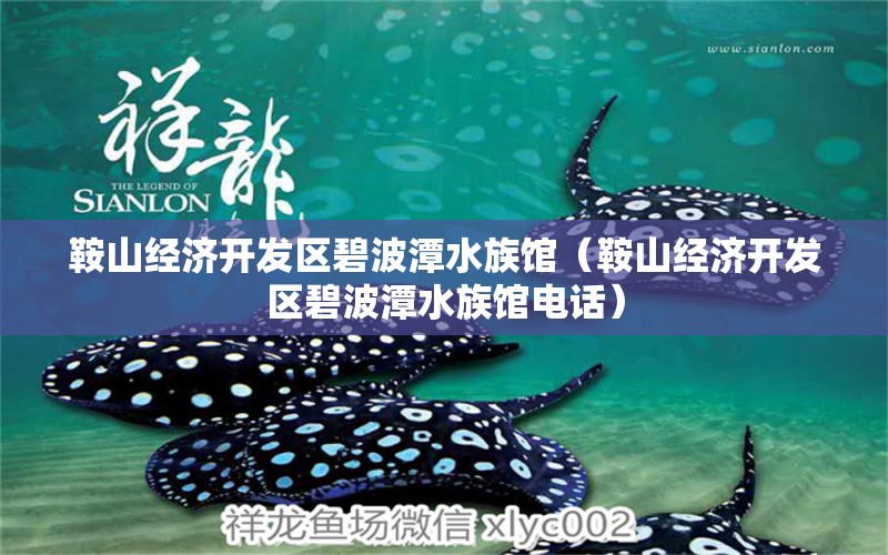 鞍山經(jīng)濟(jì)開發(fā)區(qū)碧波潭水族館（鞍山經(jīng)濟(jì)開發(fā)區(qū)碧波潭水族館電話）