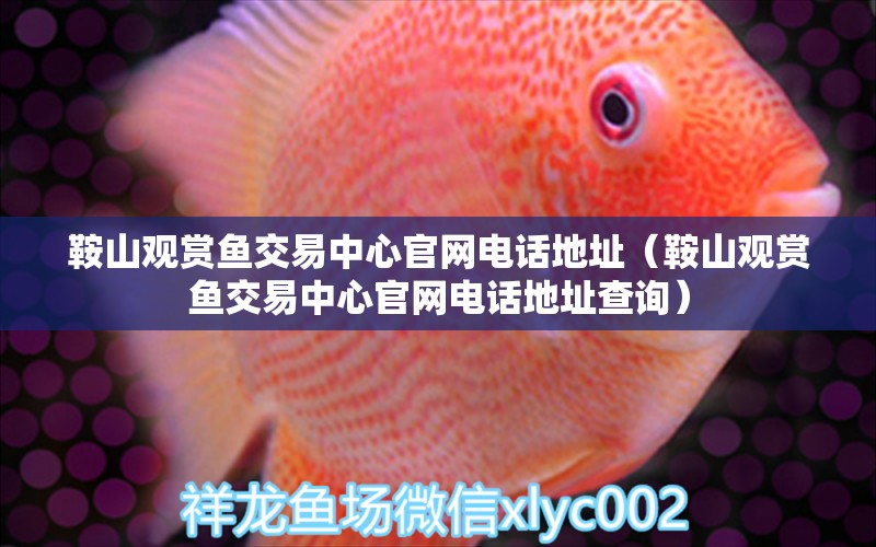 鞍山觀賞魚交易中心官網(wǎng)電話地址（鞍山觀賞魚交易中心官網(wǎng)電話地址查詢）