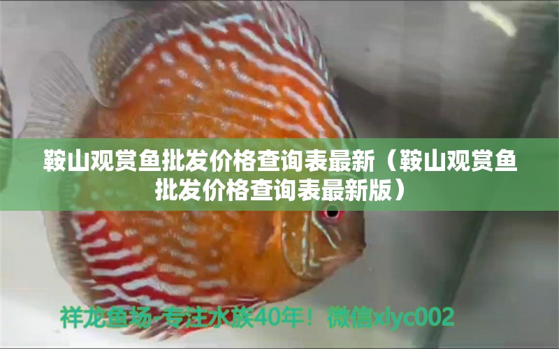 鞍山觀賞魚批發(fā)價格查詢表最新（鞍山觀賞魚批發(fā)價格查詢表最新版）