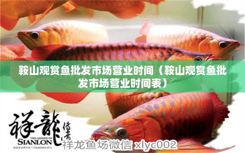 鞍山觀賞魚批發(fā)市場營業(yè)時間（鞍山觀賞魚批發(fā)市場營業(yè)時間表）