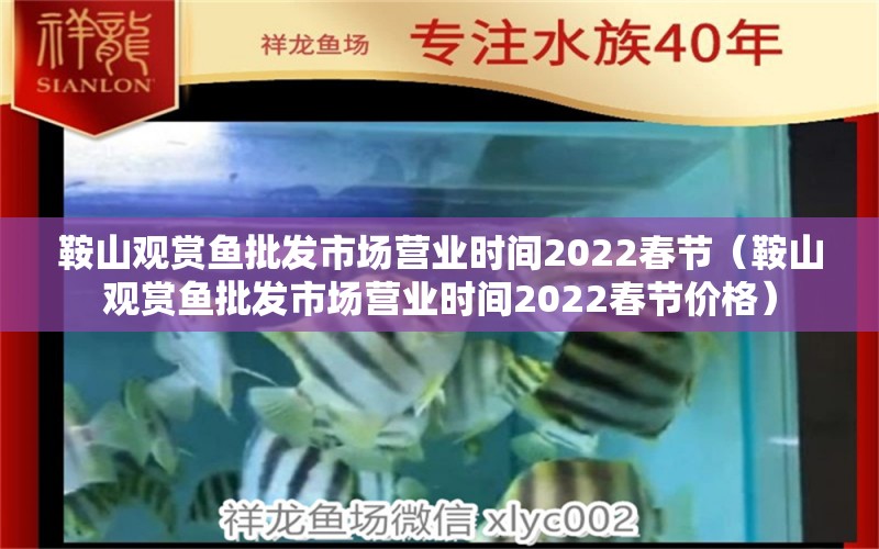 鞍山觀賞魚(yú)批發(fā)市場(chǎng)營(yíng)業(yè)時(shí)間2022春節(jié)（鞍山觀賞魚(yú)批發(fā)市場(chǎng)營(yíng)業(yè)時(shí)間2022春節(jié)價(jià)格） 觀賞魚(yú)批發(fā)