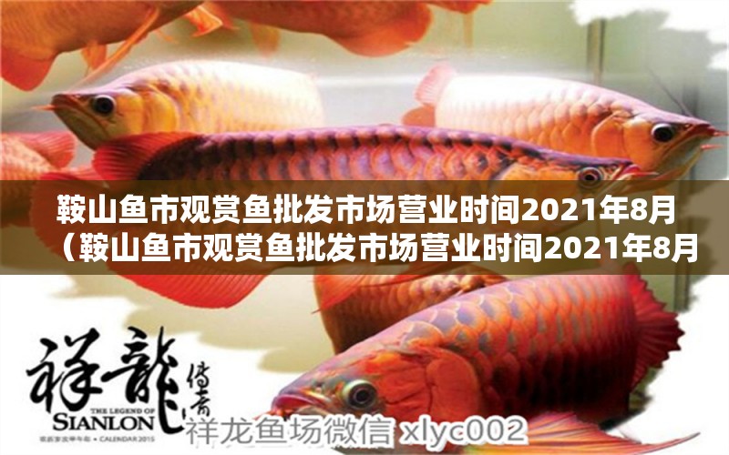 鞍山魚市觀賞魚批發(fā)市場營業(yè)時間2021年8月（鞍山魚市觀賞魚批發(fā)市場營業(yè)時間2021年8月12日）