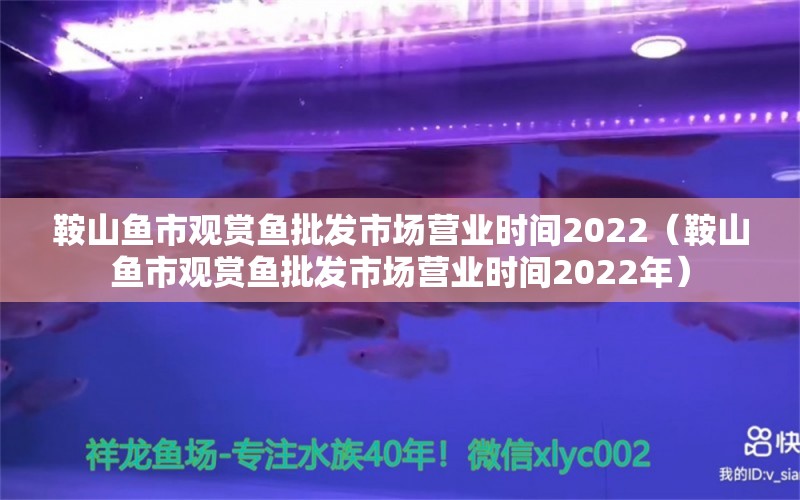 鞍山魚市觀賞魚批發(fā)市場營業(yè)時(shí)間2022（鞍山魚市觀賞魚批發(fā)市場營業(yè)時(shí)間2022年）