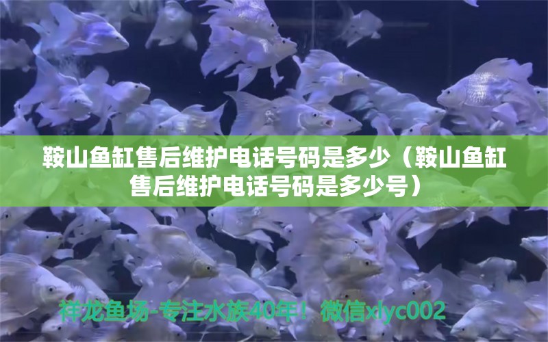 鞍山魚缸售后維護電話號碼是多少（鞍山魚缸售后維護電話號碼是多少號） 其他品牌魚缸