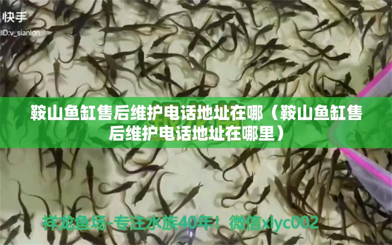 鞍山魚(yú)缸售后維護(hù)電話地址在哪（鞍山魚(yú)缸售后維護(hù)電話地址在哪里） 其他品牌魚(yú)缸