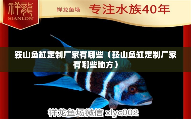 鞍山魚缸定制廠家有哪些（鞍山魚缸定制廠家有哪些地方）