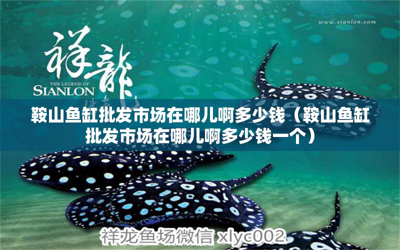 鞍山魚(yú)缸批發(fā)市場(chǎng)在哪兒啊多少錢(qián)（鞍山魚(yú)缸批發(fā)市場(chǎng)在哪兒啊多少錢(qián)一個(gè)） 祥龍水族醫(yī)院