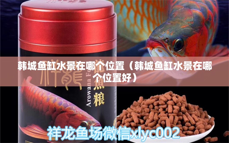 韓城魚缸水景在哪個位置（韓城魚缸水景在哪個位置好）