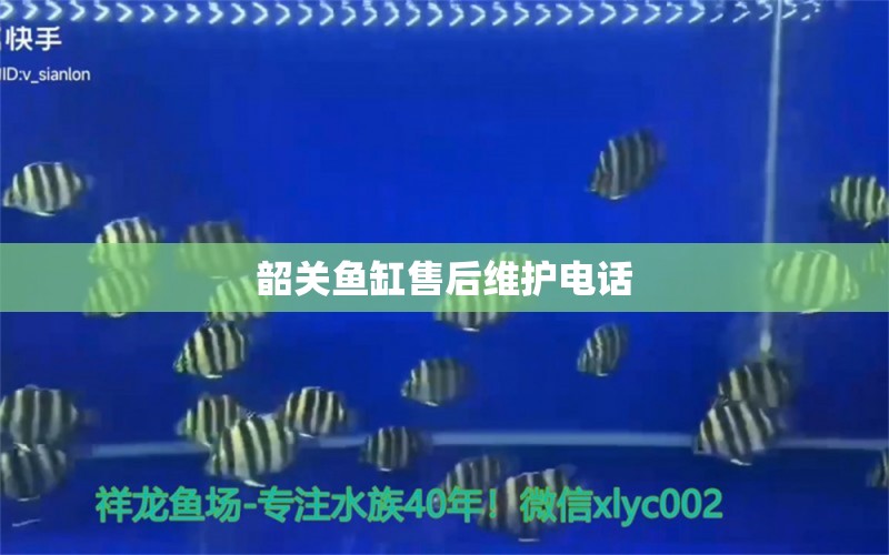 韶關(guān)魚缸售后維護(hù)電話