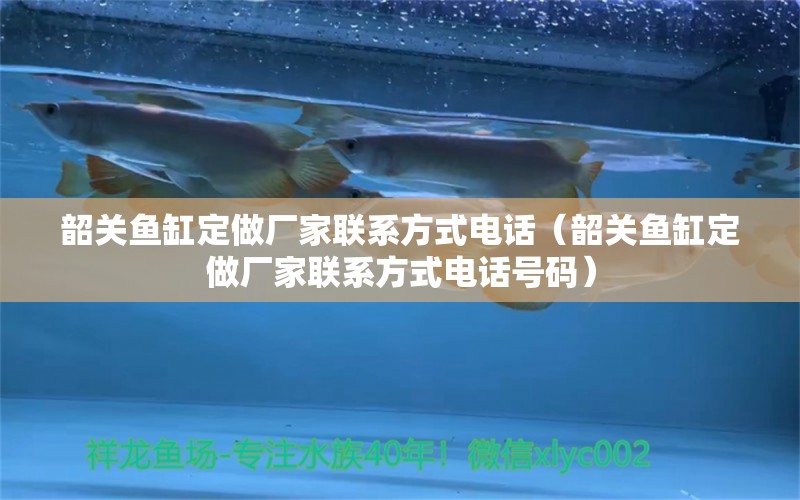 韶關魚缸定做廠家聯(lián)系方式電話（韶關魚缸定做廠家聯(lián)系方式電話號碼）