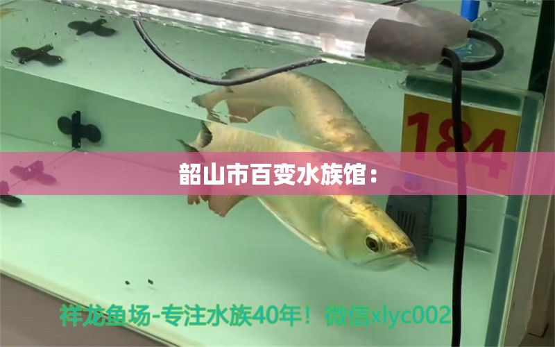 韶山市百變水族館： 全國水族館企業(yè)名錄