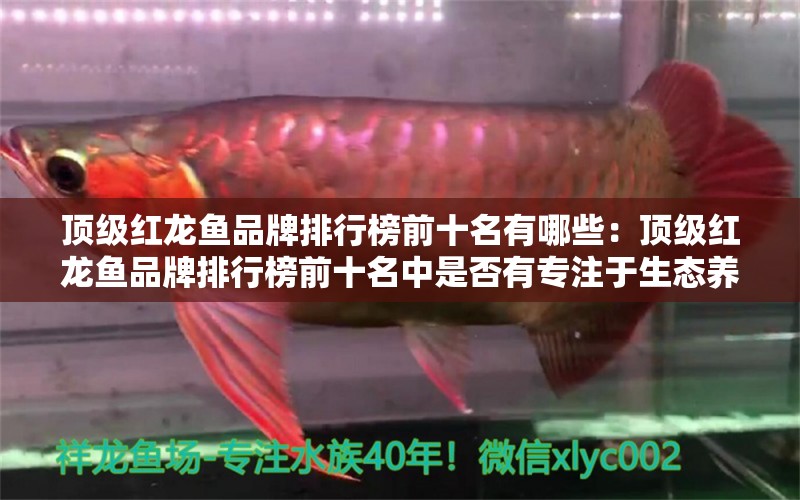 頂級(jí)紅龍魚(yú)品牌排行榜前十名有哪些：頂級(jí)紅龍魚(yú)品牌排行榜前十名中是否有專(zhuān)注于生態(tài)養(yǎng)殖的魚(yú)類(lèi)品種 水族問(wèn)答 第2張