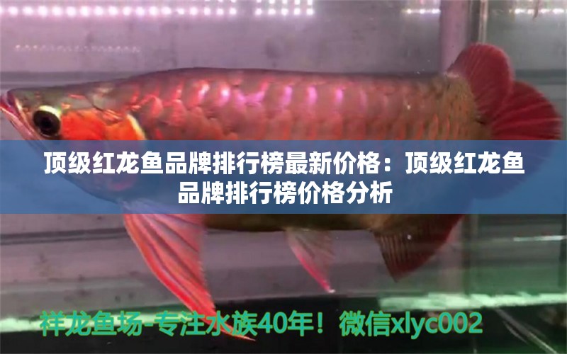 頂級(jí)紅龍魚品牌排行榜最新價(jià)格：頂級(jí)紅龍魚品牌排行榜價(jià)格分析 水族問(wèn)答 第2張