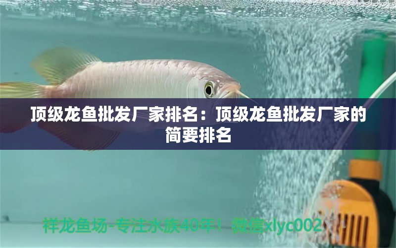 頂級(jí)龍魚批發(fā)廠家排名：頂級(jí)龍魚批發(fā)廠家的簡(jiǎn)要排名 水族問答 第2張