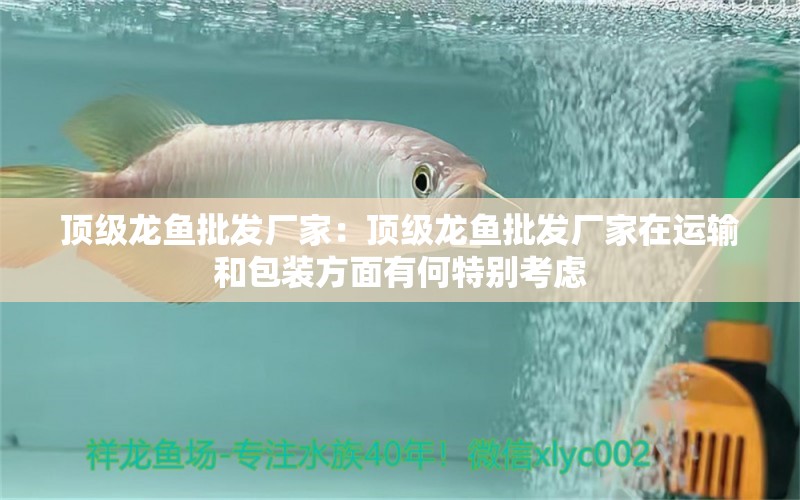 頂級龍魚批發(fā)廠家：頂級龍魚批發(fā)廠家在運輸和包裝方面有何特別考慮 水族問答 第2張