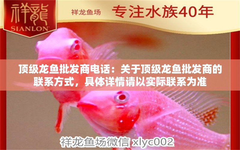 頂級龍魚批發(fā)商電話：關(guān)于頂級龍魚批發(fā)商的聯(lián)系方式，具體詳情請以實際聯(lián)系為準 水族問答 第2張