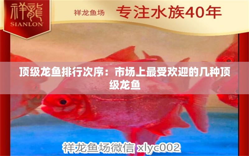 頂級龍魚排行次序：市場上最受歡迎的幾種頂級龍魚 水族問答 第2張