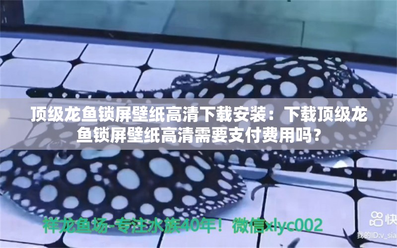 頂級龍魚鎖屏壁紙高清下載安裝：下載頂級龍魚鎖屏壁紙高清需要支付費(fèi)用嗎？ 水族問答 第1張